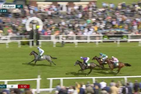 Owner suffered heart attack celebrating winner at Ripon races
