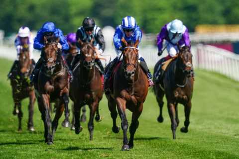Baaeed is not like Frankel but I feel sorry for anyone trying to take him on, says Jim Crowley