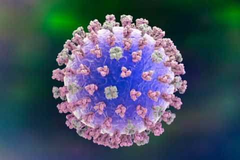 Two faster-spreading Omicron strains named ‘variants of concern’ in UK