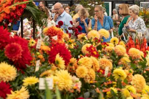 Chelsea Flower Show 2022 – full TV schedule and how to watch it online