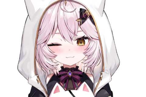 Twitch star Nyanners has MILLIONS of followers by pretending to be ‘cartoon catgirl’ – and even..