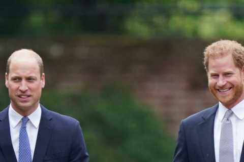 Prince Harry &amp; William have ‘weekly video calls’ to mend rift before reunion at Queen’s..