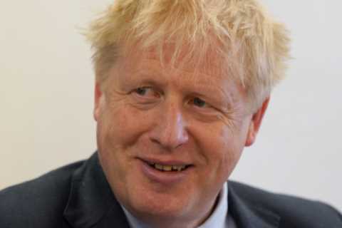 Boris Johnson’s enemies have until autumn to oust him or it will be too late, top Tory rebel warns