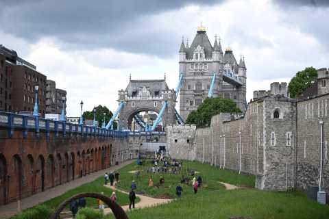 What is the Tower of London Superbloom?