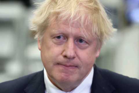 Boris Johnson could face repeated leadership votes under secret Tory plot