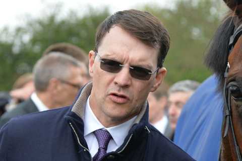 Richest stud horse Galileo – who is worth a staggering £180m – could have heir in Irish..