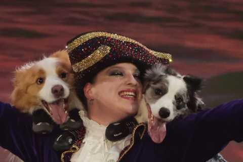 Who are Amber &amp; Her Dancing Collies?