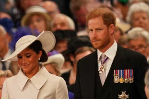 Meghan Markle &amp; Prince Harry ‘flew to LA on gas-guzzling private jet – using 10 TIMES more..