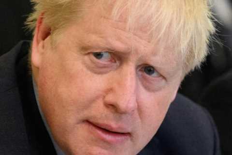 Rebel plot for Boris Johnson to face ANOTHER Tory leadership challenge must be stopped, Cabinet..