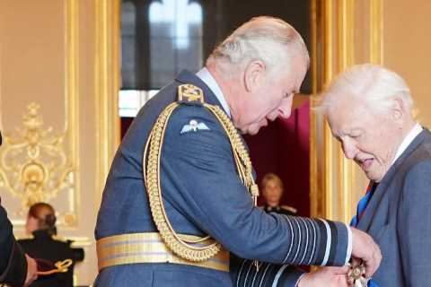 Beaming Sir David Attenborough, 96, receives second knighthood from Prince Charles