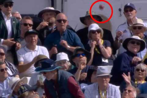 Watch crazy moment New Zealand star’s six splashes into fan’s PINT… as England moan cider-soaked..