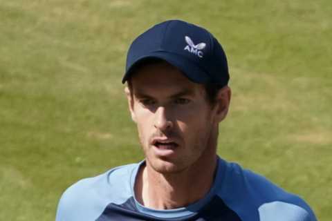 Andy Murray suffers Wimbledon injury scare as Brit requires treatment during tough Stuttgart final..