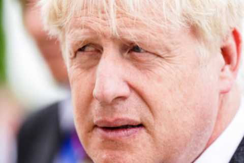Boris Johnson’s own cost of living tsar called for him to QUIT