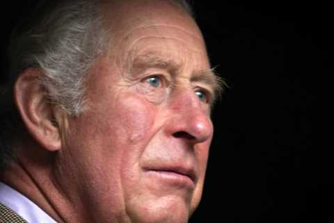 Prince Charles &amp; No10 in major diplomatic row over royal’s comments on Rwanda policy