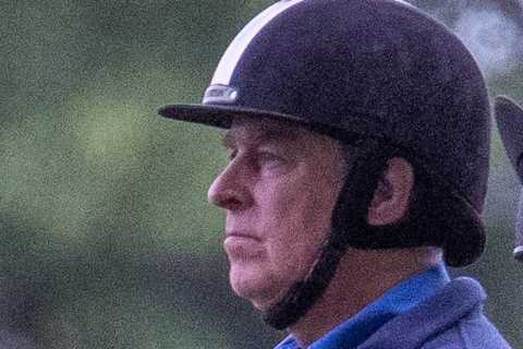 Prince Andrew ‘will given support from royal household to rebuild his life after sex scandal’