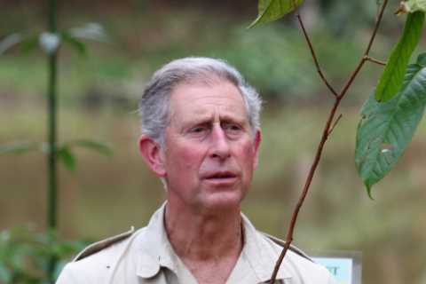 We used to laugh at Prince Charles but he is an influencer for good