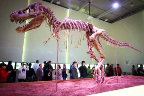 Inside murky world of illegal dinosaur fossil hunters who smuggle bones ‘like drugs’ &amp; flog..