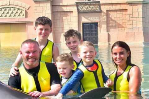 Wayne Rooney slammed for swimming with captive dolphins in Dubai