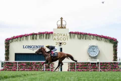 ‘Veteran boxer’ Stradivarius ready for heavyweight clash in Gold Cup at Royal Ascot