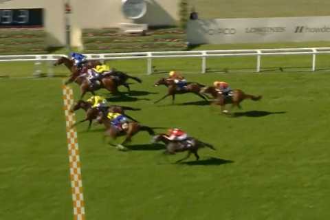 ‘What a race!’ – Royal Ascot viewers stunned as FIVE horses cross line at nearly same time in..