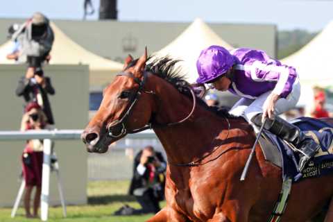 ‘My a*** fell out’ – Devastated punter misses out on £9,000 after cashing out Royal Ascot bet..