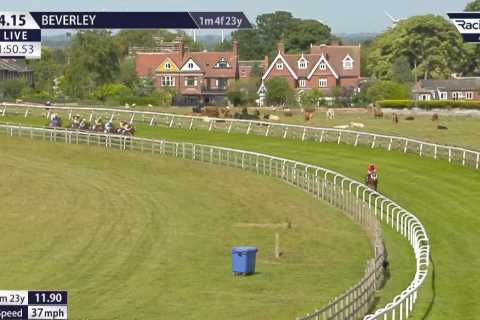 ‘What have I just witnessed?’ – Jockey banned after unbelievable ride on 50-1 winner who was given..