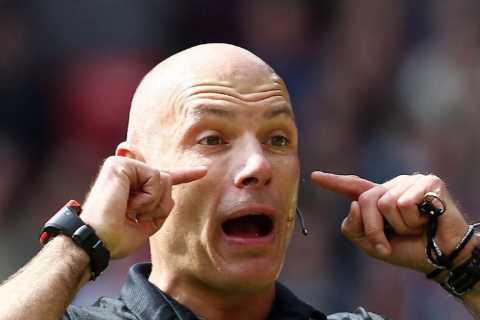 Fans congratulate Man Utd for ‘greatest signing of decade’ with Howard Webb to become Premier..