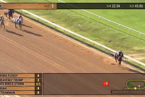 Is this the worst loss of all time? Unthinkable happens as horse and jockey throw away victory with ..