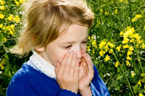 Hay fever sufferers snapping up ‘miracle cure’ tablets only recently made available without a..