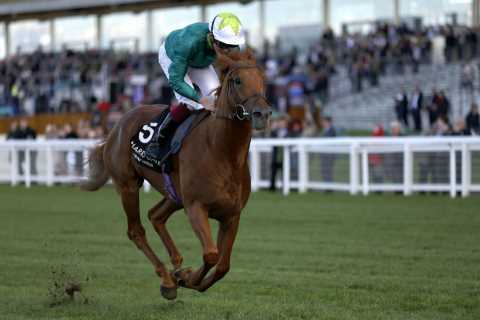 Tragedy for top horse trainer Ralph Beckett as Group 1-winning superstar Scope dies after gallops..