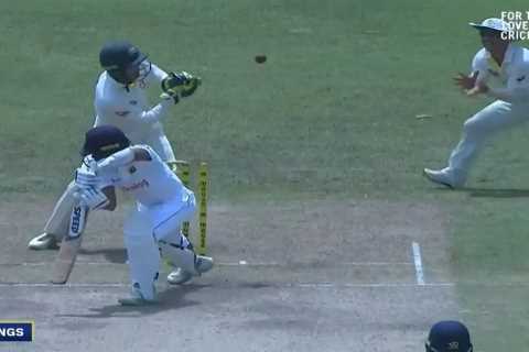 ‘Instant karma for you’ – Watch laughing David Warner go down in pain after being hit in balls with ..