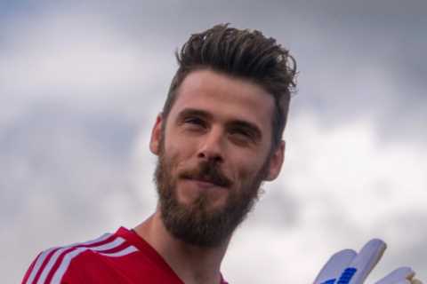 Man Utd fans will LOVE our new brand of football under Erik ten Hag, says keeper David de Gea after ..