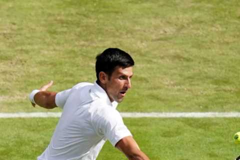 Novak Djokovic drops just 7 games as he waltzes into Wimbledon last 16 against fellow Serb..