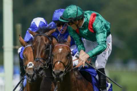 Matt Chapman: Christophe Soumillon has been hit with a ridiculously harsh ban, it makes no sense –..