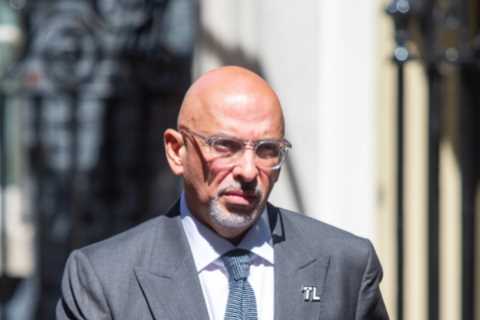 Nadhim Zahawi appointed Chancellor by embattled PM just hours after Rishi Sunak resigned
