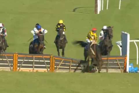 Dramatic moment leading horse ‘blinded by the sun’ causes chaos and sends rival crashing through..