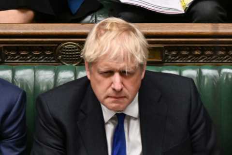 How greased piglet Boris Johnson lost grip on power after stunning election win saw him seize power ..