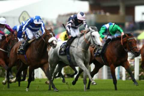 Millionaire racehorse and everyone’s favourite grey Lord Glitters retires aged nine as ‘wear and..