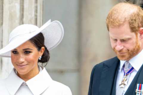 Release of Prince Harry’s ‘heartfelt’ life story looks like it has been delayed