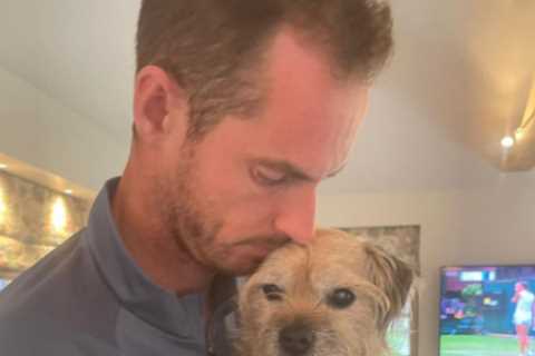 ‘This really hurts’ – Andy Murray’s heartbreaking post after beloved dog ‘Maggie Mayhem’ dies..