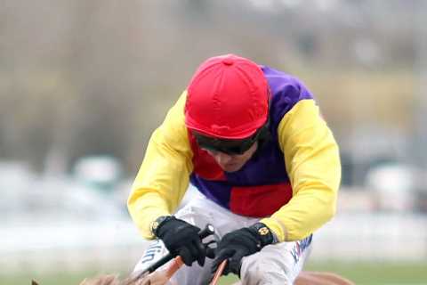 ‘Jockeys have had enough warnings’, says Nicky Henderson as strict new whip rules set to be..