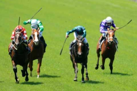 Horse racing bosses issue radical whip clampdown as winners threatened with disqualification and..