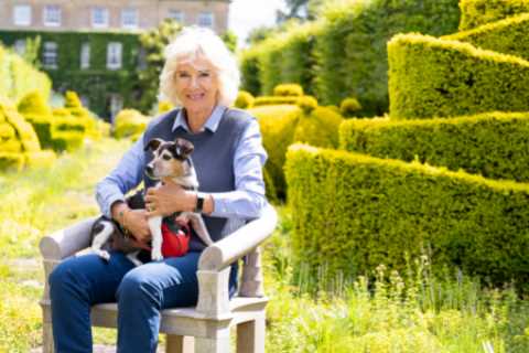 I’m a royal expert – how Camilla, Duchess of Cornwall has transformed her image from pariah to..