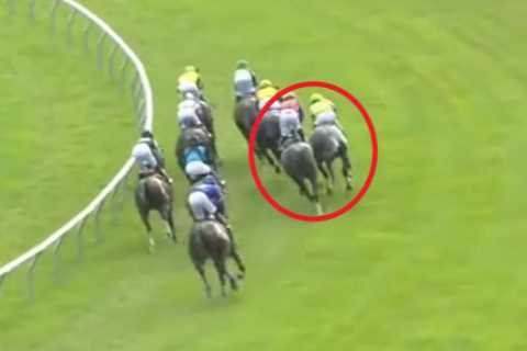 Uproar as wrestler-turned-jockey gets eight-day ban for fighting with rival after ‘almost getting..