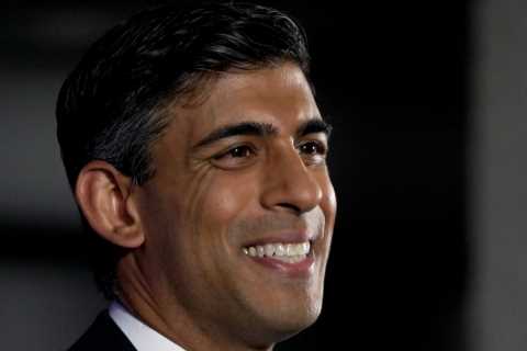 Rishi Sunak stopped Covid chaos from ruining Britain – now he’s the man to run it
