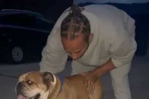 Lewis Hamilton teaches vegan bulldog Roscoe how to SKATEBOARD as F1 star pumps iron ahead of French ..