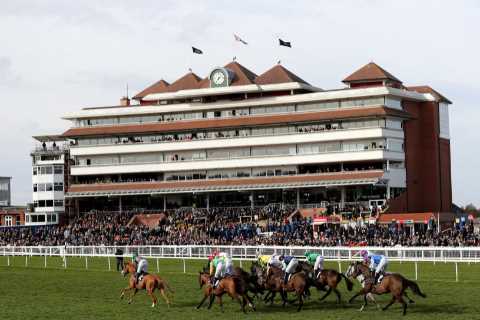 ‘Can I enter my cat?’ – Racing farce as NO horses declared for big Newbury race despite bumper..