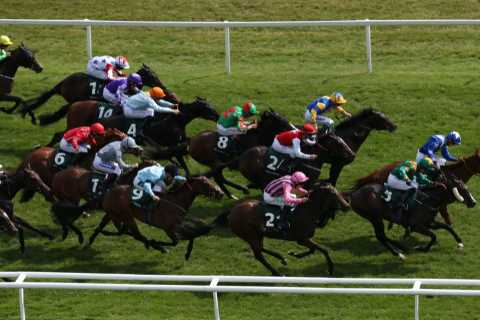 Weatherbys Super Sprint Stakes CONFIRMED runners and riders plus tip for massive 21-runner Newbury..