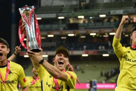 T20 Blast drama as Hampshire eventually crowned champions in last-ball thriller… minutes after..