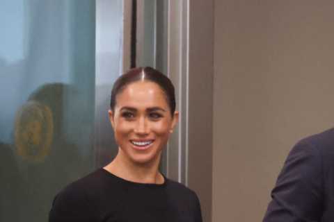 I’m a body language expert – four signs Prince Harry showed during his UN speech that fans have..